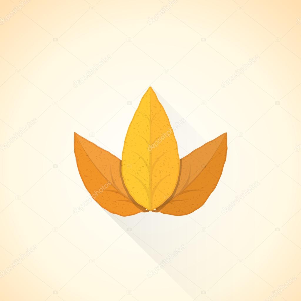 Daun Tembakau Stok Vektor Ilustrasi Daun Tembakau Bebas Royalti Depositphotos