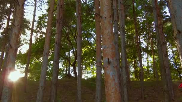 Νωρίς Φθινόπωρο Στο Δάσος Εναέρια Πάνω Άποψη Μικτά Δάση Πράσινα — Αρχείο Βίντεο