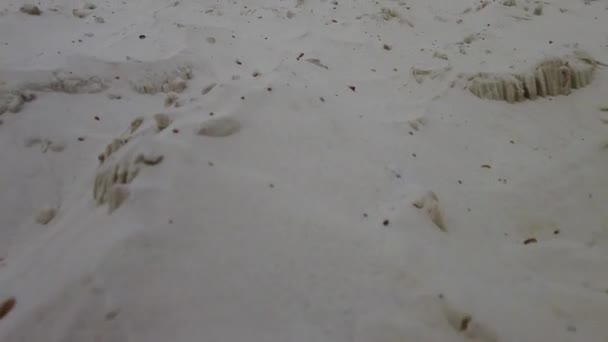 Βουνά Άμμου Που Καταρρέουν Από Τον Άνεμο Λατομείο Λευκών Και — Αρχείο Βίντεο