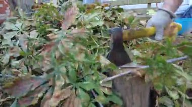 Adam odun kırıyor. Yakacak odun topluyorum.