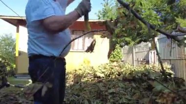 Adam odun kırıyor. Yakacak odun topluyorum.