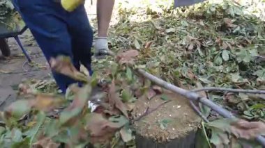 Adam odun kırıyor. Yakacak odun topluyorum.