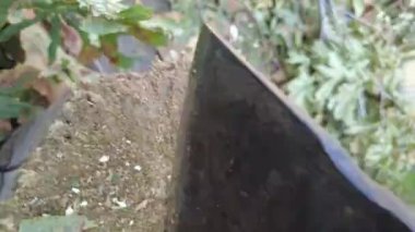 Adam odun kırıyor. Yakacak odun topluyorum.