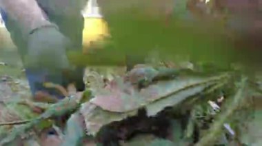 Adam odun kırıyor. Yakacak odun topluyorum.