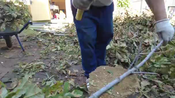 那个人在砍柴 收集柴火 — 图库视频影像
