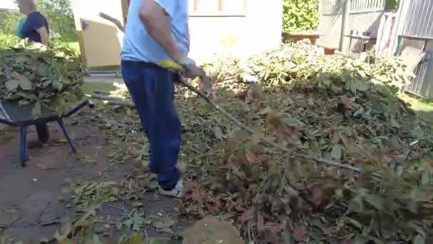 Hombre Está Cortando Leña Recogida Leña — Vídeo de stock