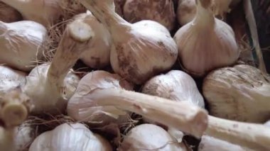 Sarımsaklı karanfil ya da eski ahşap arka planda sarımsak soğanı. Sağlıklı baharat yemeği kavramı