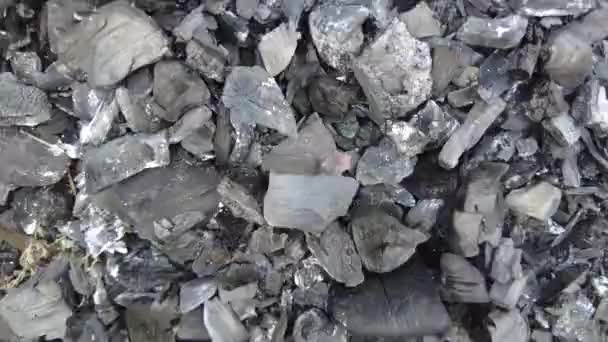 Coals Have Cooled Fire Wooden Charcoal Natural Fertilizer Remains Fire — Stock Video