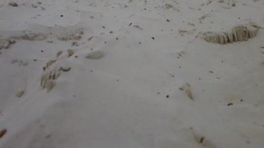 Rüzgardan ufalanan kum dağları. Beyaz ve kırmızı kum dağları. Kumlu nehir. Doğanın gücü. taş ocağı kuvars kumunun gelişimi