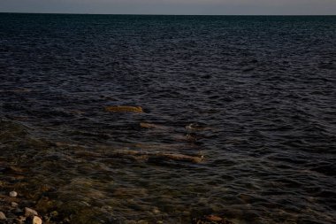 Mavi gökyüzü ve beyaz bulutları olan Karadeniz kıyıları. Deniz suyu. Deniz dalgaları, deniz taşları.