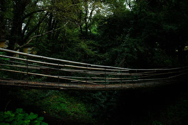Ponte Bambù Che Attraversa Una Scogliera Tra Montagne Foresta — Foto Stock