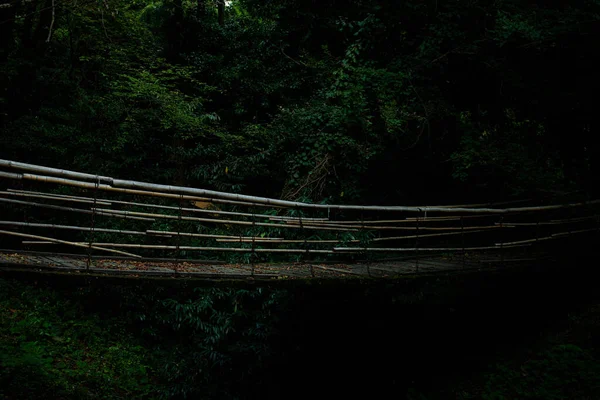 Бамбуковый Мост Охватывающий Скалу Горах Лесу — стоковое фото
