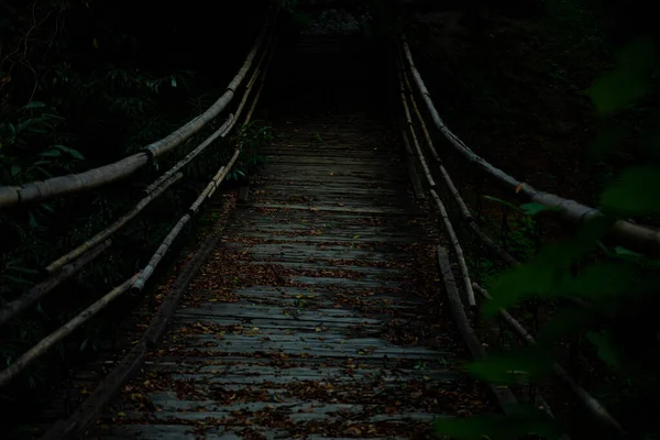 Puente Bambú Que Atraviesa Acantilado Las Montañas Bosque — Foto de Stock