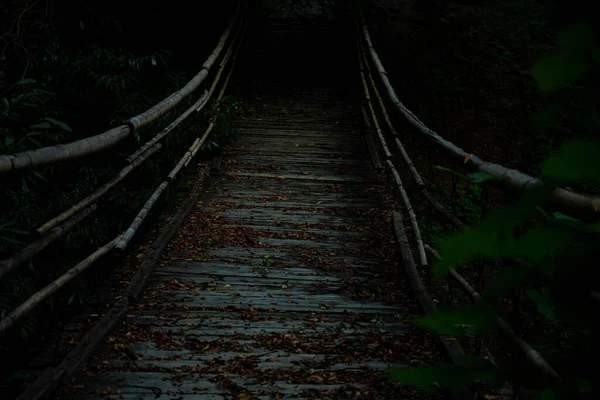 Egy Bambusz Híd Amely Átível Egy Sziklán Hegyekben Erdőben — Stock Fotó