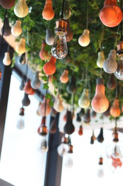 Güzel bir dekoratif ağaç birçok ampulle süslenir. Aydınlatma. Modern iç tasarım