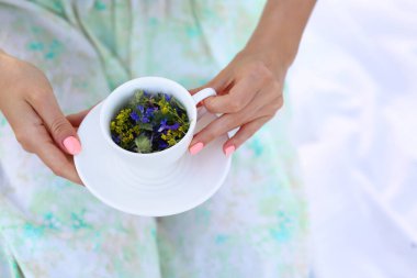 Açık tenli bir elbisenin arka planında kır çiçeklerinden alınmış bitki çayı ve piknik için battaniye tutan bir kadın eli olan pankart. Kahvaltı hafiftir. Bitkisel tıp ve sağlık konsepti