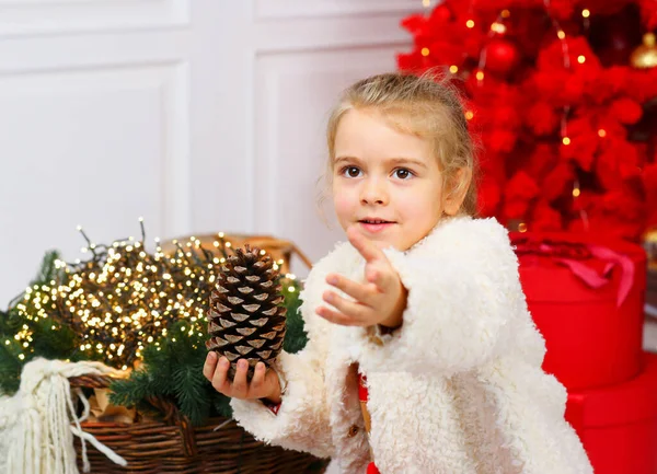 Menina Branca Bonito Segurando Cone Pinho Sua Mão Conceito Natal — Fotografia de Stock