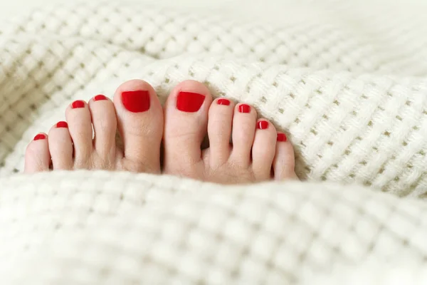 Pedicure Inverno Vermelho Xadrez Quente Branco — Fotografia de Stock