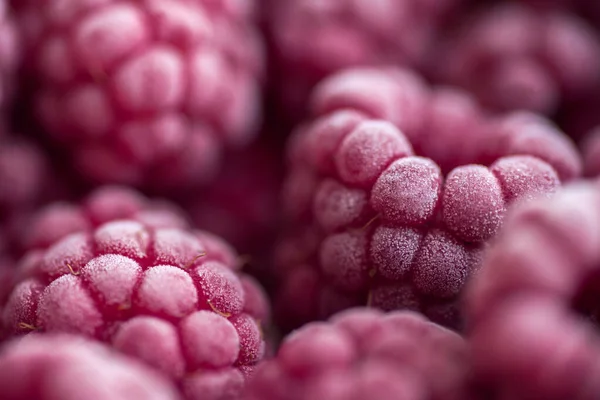 Mogna frysta hallon närbild makro fotografi, selektivt fokus, frukt bakgrund — Stockfoto