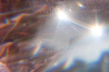 Altın rengi pembe pullar, parlak halılar. Yakın çekim, çok sığ alan derinliği, Macro.