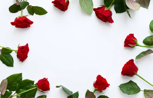 Red roses frame on a white background, copy space
