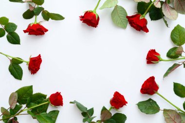 Beyaz arkaplanda kırmızı gül çerçevesi, kopyalanmış