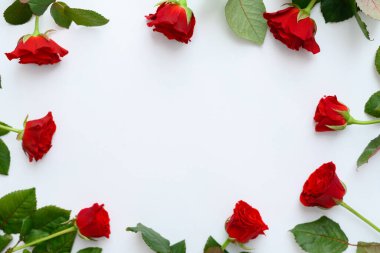 Beyaz arkaplanda kırmızı gül çerçevesi, kopyalanmış