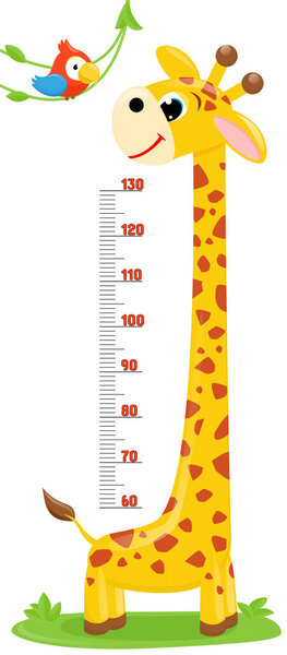 Giraffe, parrot. Meter wall or height chart on white background.