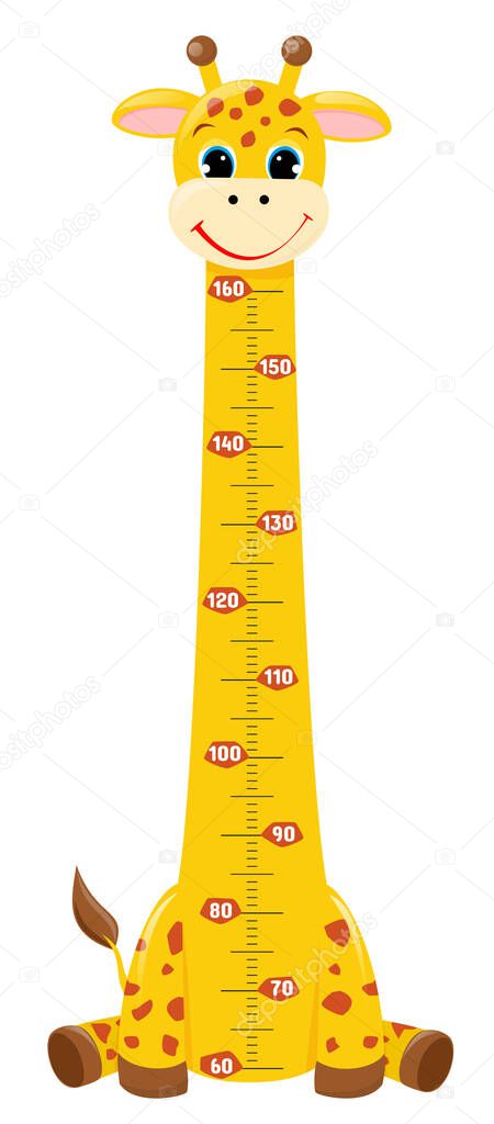 Giraffe. Meter wall or height chart on white background.