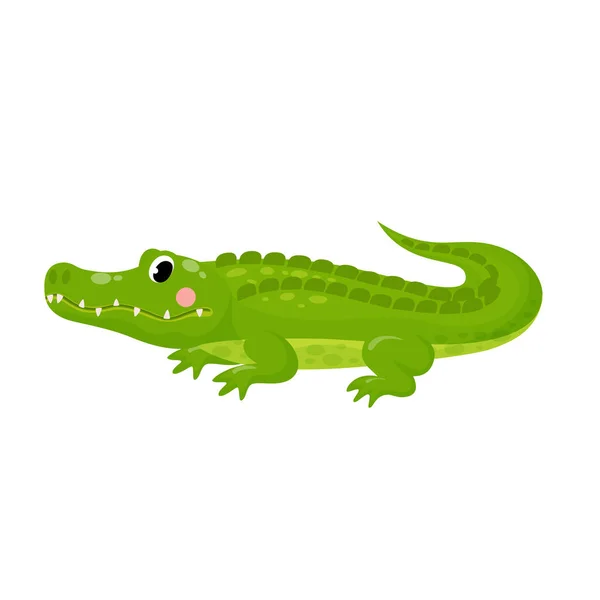 Vector illustration of cute alligator isolated crocodile in cartoon style on white background. Use for kids app, game, book, clothing print T-shirt print, baby shower. — Stock Vector