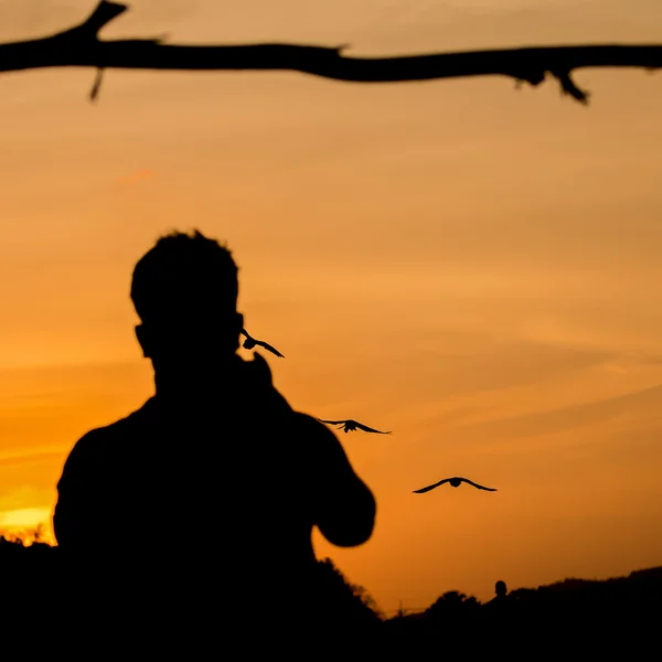 Man and parrot on sunset background — Stock Photo, Image