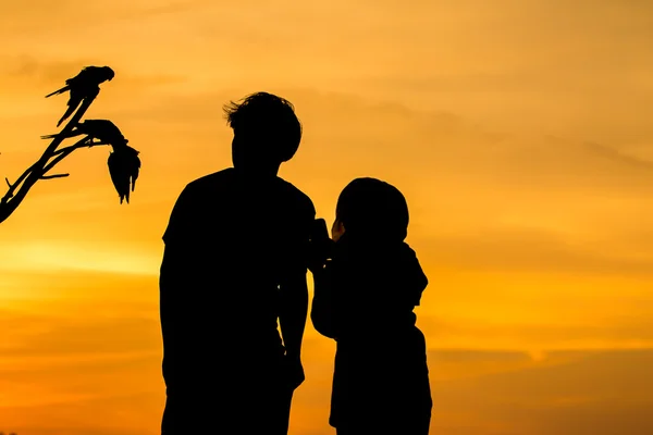 Sweetheart and parrot on sunset background — Stock Photo, Image