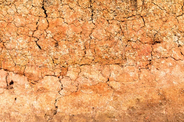 Surface soil background — Stock Photo, Image