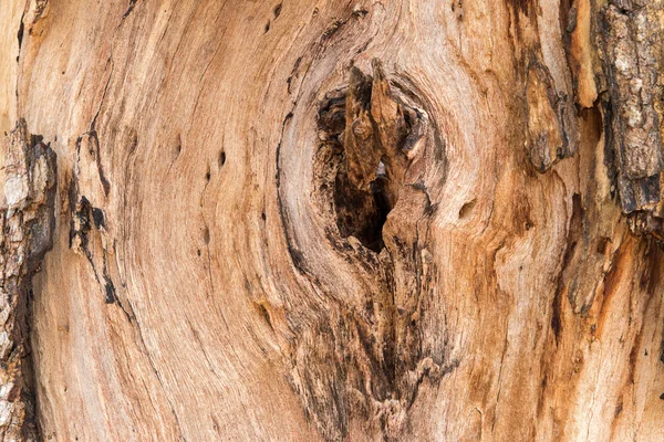 Texture del legno — Foto Stock