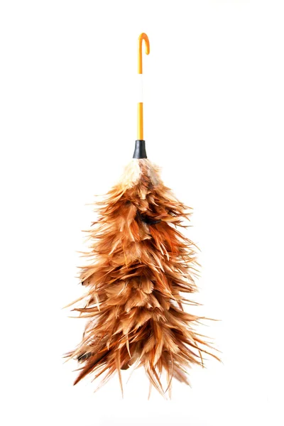 Duster,feather. — Stock Photo, Image