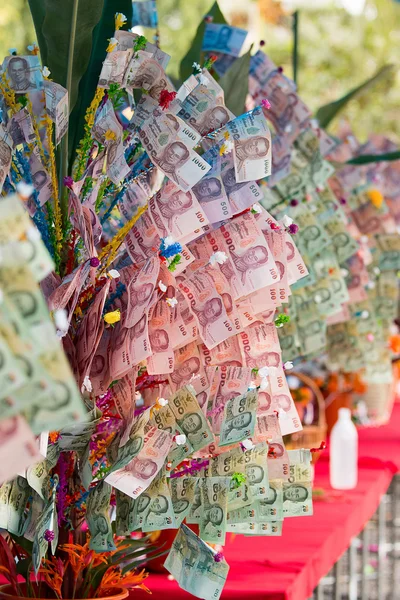 Thailand Banknotes — Stock Photo, Image