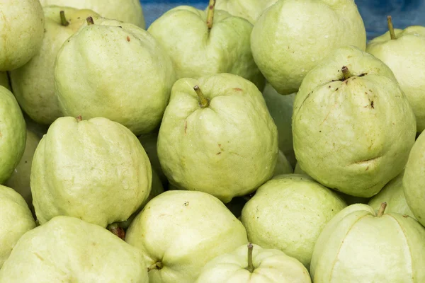 Guava — Stock Photo, Image