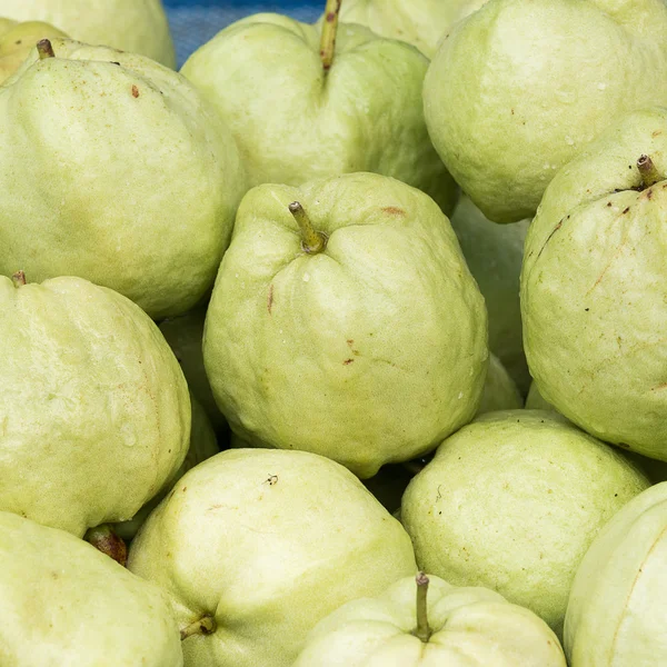 Guava — Stock Photo, Image