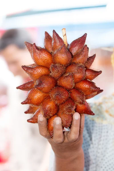 Salacca 또는 zalacca 과일 — 스톡 사진