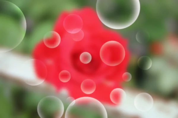 Bokeh — Stock Photo, Image