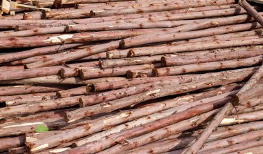 ahşap kazık arka plan.