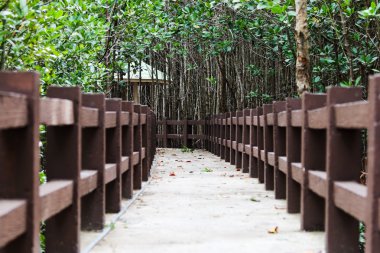 Doğal çalışmaya geçit.