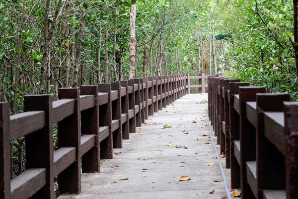 Pasarela para estudiar natural . — Foto de Stock