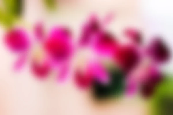 Soyut bulanık orkide çiçek — Stok fotoğraf