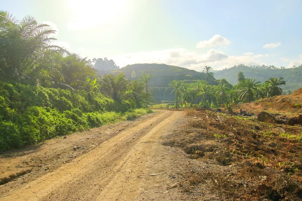 Dirt roads — Stock Photo, Image