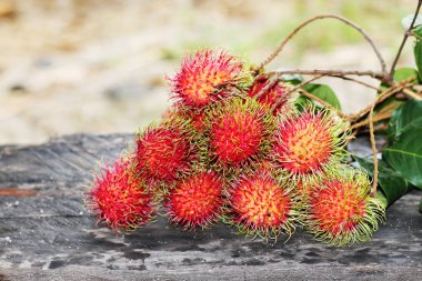 taze rambutan
