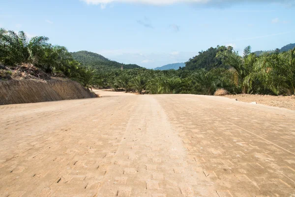 Dirt roads — Stock Photo, Image