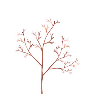 Suluboya elle boyanmış ağaç dalı