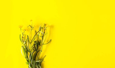 Parlak sarı arka planda güzel bir buket çiçek. Ranunculus akris bitkileri
