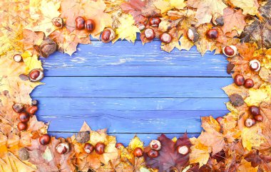 Renkli parlak sonbahar akçaağaç yapraklarından yapılmış çerçeve.